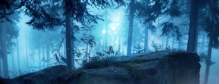 Mysteriöser Wald im Nebel